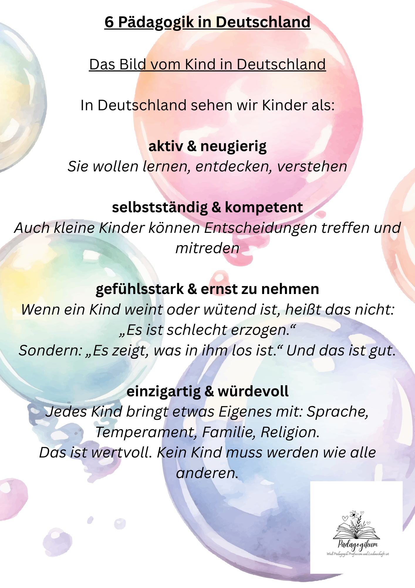 BEP verstehen, ein Workbook für ausländische pädagogische Fach- und Ergänzungskräfte